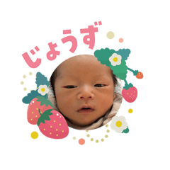 SHINGU_20260214231659