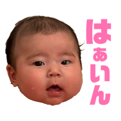 kotetsu_20260215030913