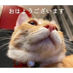 ubebe_20260215021134