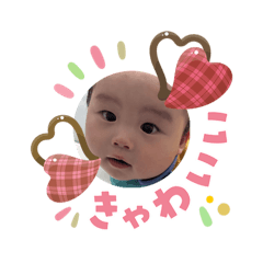 t_20260215013305