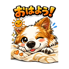 Border collie koharu 1