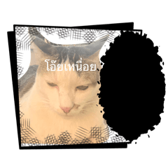 ChefandtheGang_20260214202013