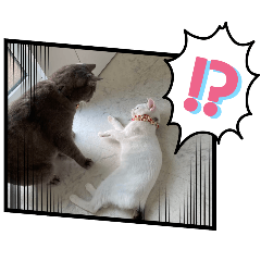 ichichi_20260215095019