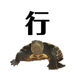 汽水 圓寶 的貼圖