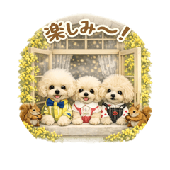 misajyj_20260215103201