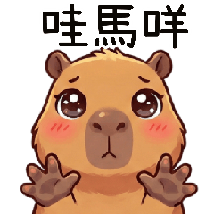 Capibara - Wow, the daily life