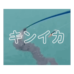 DRAGON No. 1_20260215124247