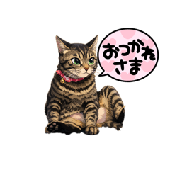 kani Kama stamp_20260212190319