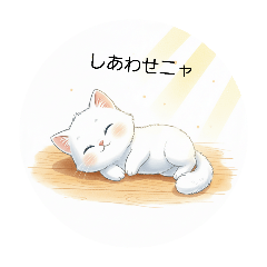 mayu_20260214203643