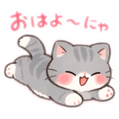 Hayato_20260215024405