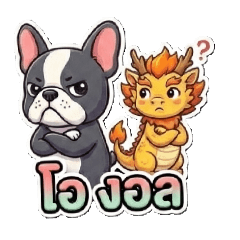 newnew_20260215045339