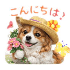 emily_20260210202511