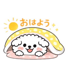 mimin_20260211114350