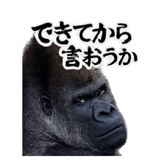 毒舌ゴリラさん（煽り度高め）