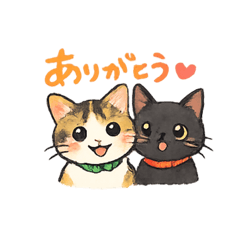 tobiko_20260215181718