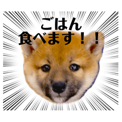 rei_20260215133818