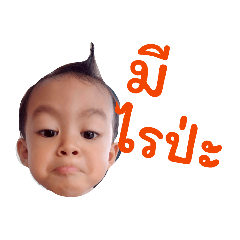 PK_wirawan_20260215124444