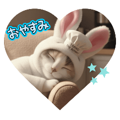 cotton_20260215193128