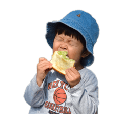 nobumi_20260215193201