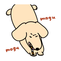 EVERYDAY LIFE OF NEEL