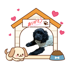 kazatte_20260215194139