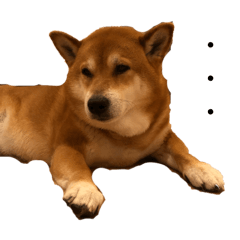 serosu_20260215194206