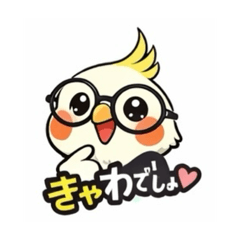 fabimarun_20260215193927