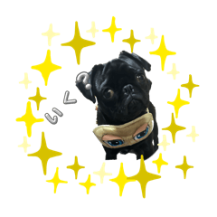 megu.mama_20260215210301