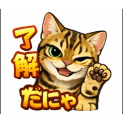 kamewo_20260215210229