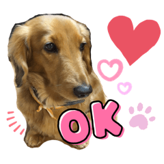 Jchan_20260215210019