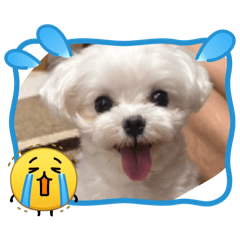 hisae_20260215210615