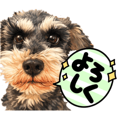 musiyoshi_20260215210436