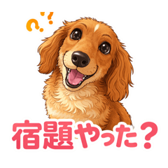 pitta_20260215201639