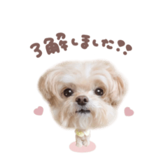 ももちゃん♡ピンクmix