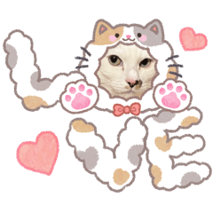 reinachan66_20260215202720