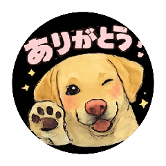 nambarabambam_20260215203128