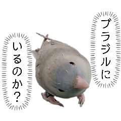 satomo_20260215213617