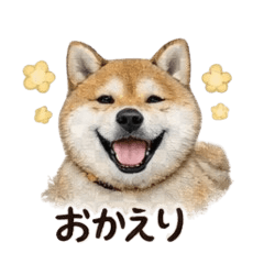 Photoreal Shiba Inu Daily Stickers