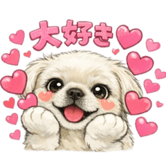 loulou_20260213140231