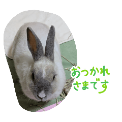 Kaoruko_20260215122035