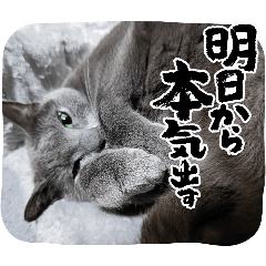 hiroben_20260215121559