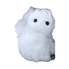 amico._20260215121653