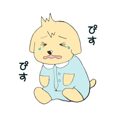 babydog studio_20260215122349