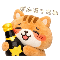 STAMPo_20260215121038