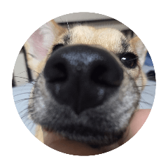 denden_20260215212856