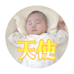 yoshi_20260215211841