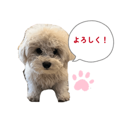 mugimaru_20260215213402