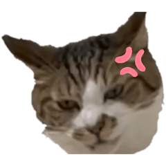 yurifujisawa_20260215213147