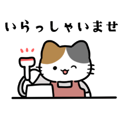 customer service cat life