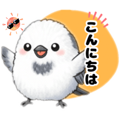 chocotto_20260213153602